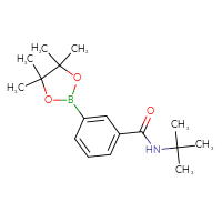 Chemical structure of N-tert-butyl-3-(4,4,5,5-tetramethyl-1,3,2-dioxaborolan-2-yl)benzamide - CSSB00010769743