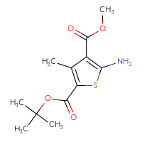 Chemical structure of 2-tert-butyl 4-methyl 5-amino-3-methylthiophene-2,4-dicarboxylate - CSSB00020597340