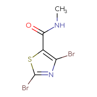 Chemical structure of 2,4-dibromo-N-methyl-1,3-thiazole-5-carboxamide - CSSB00010827187