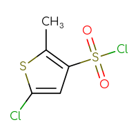 Chemical structure of 5-chloro-2-methylthiophene-3-sulfonyl chloride - CSSB00120451226