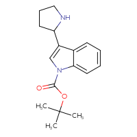 Chemical structure of tert-butyl 3-(pyrrolidin-2-yl)-1H-indole-1-carboxylate - CSSB00010174038