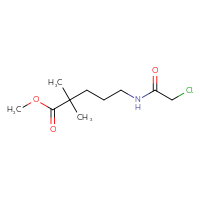 Chemical structure of methyl 5-(2-chloroacetamido)-2,2-dimethylpentanoate - CSSB01973800916