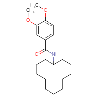 Chemical structure of N-cyclododecyl-3,4-dimethoxybenzamide - CSSB00121729888