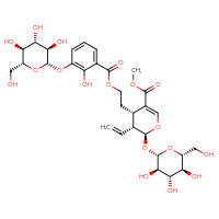 Chemical structure of methyl (2S,3R,4S)-3-ethenyl-4-[2-(2-hydroxy-3-{[(2S,3R,4S,5S,6R)-3,4,5-trihydroxy-6-(hydroxymethyl)oxan-2-yl]oxy}benzoyloxy)ethyl]-2-{[(2S,3R,4S,5S,6R)-3,4,5-trihydroxy-6-(hydroxymethyl)oxan-2-yl]oxy}-3,4-dihydro-2H-pyran-5-carboxylate - CSSB00159262561
