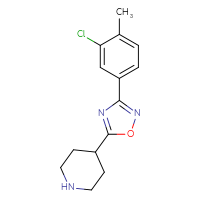 Chemical structure of 4-[3-(3-chloro-4-methylphenyl)-1,2,4-oxadiazol-5-yl]piperidine - CSSB00020653141