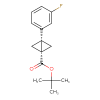 Chemical structure of tert-butyl (1R,3R)-3-(3-fluorophenyl)bicyclo[1.1.0]butane-1-carboxylate - CSSB14979032782