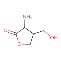 C5H9NO3
