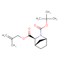 C16H25NO4