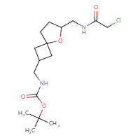 Chemical structure of tert-butyl N-({6-[(2-chloroacetamido)methyl]-5-oxaspiro[3.4]octan-2-yl}methyl)carbamate - CSSB14991267047