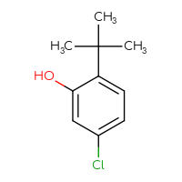 Chemical structure of 2-tert-butyl-5-chlorophenol - CSSB00009886137