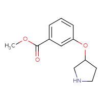 Chemical structure of methyl 3-(pyrrolidin-3-yloxy)benzoate - CSSB00010197138