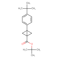Chemical structure of tert-butyl 3-(4-tert-butylphenyl)bicyclo[1.1.0]butane-1-carboxylate - CSSB21189713048
