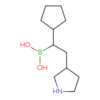 C11H22BNO2