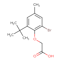 Chemical structure of 2-(2-bromo-6-tert-butyl-4-methylphenoxy)acetic acid - CSSB00133311368