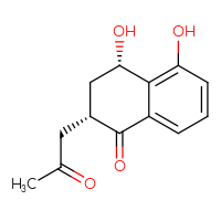 Chemical structure of (2S,4S)-4,5-dihydroxy-2-(2-oxopropyl)-1,2,3,4-tetrahydronaphthalen-1-one - CSSB20465147505