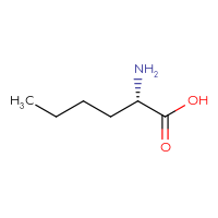 C6H13NO2