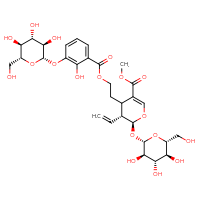Chemical structure of methyl (2S,3R)-3-ethenyl-4-[2-(2-hydroxy-3-{[(2S,3R,4S,5S,6R)-3,4,5-trihydroxy-6-(hydroxymethyl)oxan-2-yl]oxy}benzoyloxy)ethyl]-2-{[(2S,3R,4S,5S,6R)-3,4,5-trihydroxy-6-(hydroxymethyl)oxan-2-yl]oxy}-3,4-dihydro-2H-pyran-5-carboxylate - CSSB14945337349