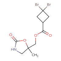 C10H13Br2NO4