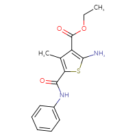 Chemical structure of ethyl 2-amino-4-methyl-5-(phenylcarbamoyl)thiophene-3-carboxylate - CSSB00000681971