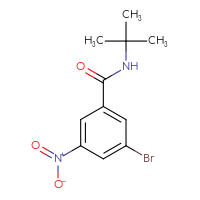 Chemical structure of 3-bromo-N-tert-butyl-5-nitrobenzamide - CSSB00001672314