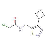 Chemical structure of 2-chloro-N-[(4-cyclobutyl-1,2,3-thiadiazol-5-yl)methyl]acetamide - CSSB03548232723