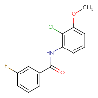 Chemical structure of N-(2-chloro-3-methoxyphenyl)-3-fluorobenzamide - CSSB06379782642