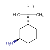 C10H21N