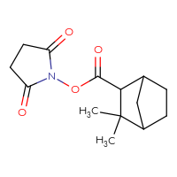 Chemical structure of 2,5-dioxopyrrolidin-1-yl 3,3-dimethylbicyclo[2.2.1]heptane-2-carboxylate - CSSB02203803028