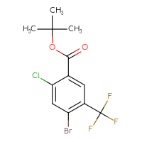 Chemical structure of tert-butyl 4-bromo-2-chloro-5-(trifluoromethyl)benzoate - CSSB15099431238