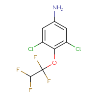 C8H5Cl2F4NO