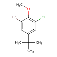 Chemical structure of 1-bromo-5-tert-butyl-3-chloro-2-methoxybenzene - CSSB00033349039