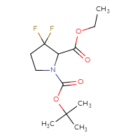 C12H19F2NO4