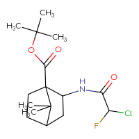 Chemical structure of tert-butyl 2-(2-chloro-2-fluoroacetamido)-7,7-dimethylbicyclo[2.2.1]heptane-1-carboxylate - CSSB21332109667
