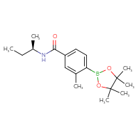 Chemical structure of N-[(2R)-butan-2-yl]-3-methyl-4-(4,4,5,5-tetramethyl-1,3,2-dioxaborolan-2-yl)benzamide - CSSB02522776637