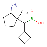 C11H22BNO2