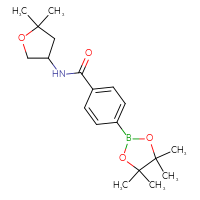 Chemical structure of N-(5,5-dimethyloxolan-3-yl)-4-(4,4,5,5-tetramethyl-1,3,2-dioxaborolan-2-yl)benzamide - CSSB02533506056