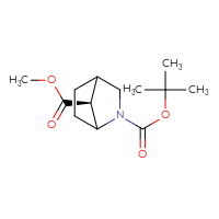 Chemical structure of 2-tert-butyl 7-methyl (7S)-2-azabicyclo[2.2.1]heptane-2,7-dicarboxylate - CSSB02517114281