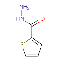 Chemical structure of thiophene-2-carbohydrazide - CSSB00000184746