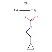 Chemical structure of tert-butyl 3-cyclopropylazetidine-1-carboxylate - CSSB00120109123