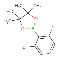 C11H14BBrFNO2