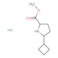 Chemical structure of methyl 5-cyclobutylpyrrolidine-2-carboxylate hydrochloride - CSSB21043417478