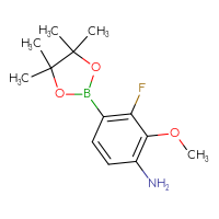 C13H19BFNO3