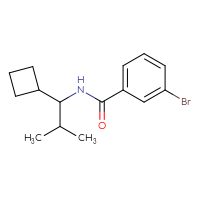 Chemical structure of 3-bromo-N-(1-cyclobutyl-2-methylpropyl)benzamide - CSSB00033951793