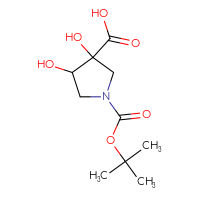 C10H17NO6