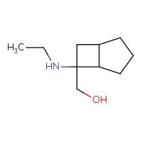 C10H19NO