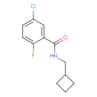 Chemical structure of 5-chloro-N-(cyclobutylmethyl)-2-fluorobenzamide - CSSB00011265480