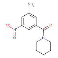 Chemical structure of 3-nitro-5-(piperidine-1-carbonyl)aniline - CSSB00020600361