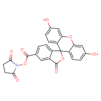 Chemical structure of 2,5-dioxopyrrolidin-1-yl 3',6'-dihydroxy-3-oxo-3H-spiro[2-benzofuran-1,9'-xanthene]-5-carboxylate - CSSB00020586825