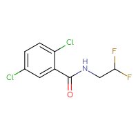 Chemical structure of 2,5-dichloro-N-(2,2-difluoroethyl)benzamide - CSSB01992529257