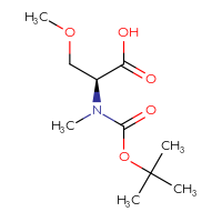 C10H19NO5